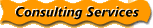Consulting Services