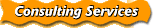 Consulting Services