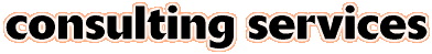Consulting Services